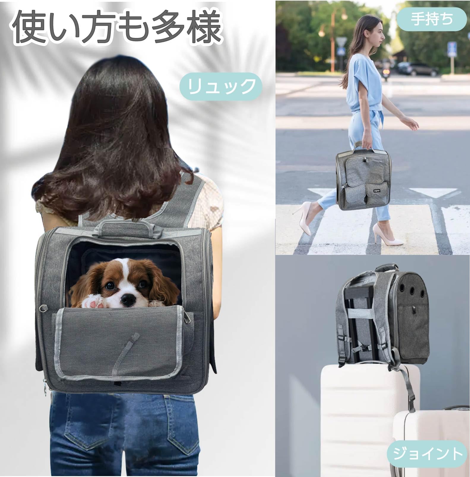 Amazon.co.jp: 【pepipo】 ペットキャリー リュック 犬 猫 キャリー